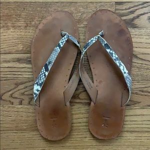 FRYE Flip Flops